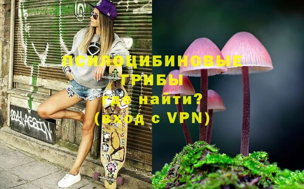 эйфоретик Инсар