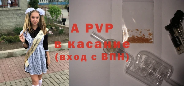 эйфоретик Инсар