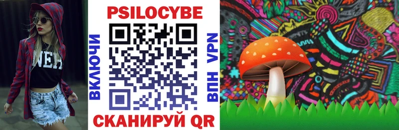 Псилоцибиновые грибы Psilocybine cubensis Яхрома