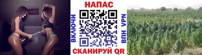 ссылка на мегу   Яхрома  Шишки марихуана Ganja 